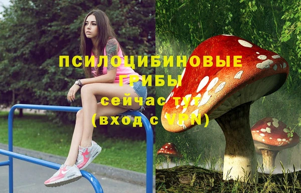 стафф Баксан