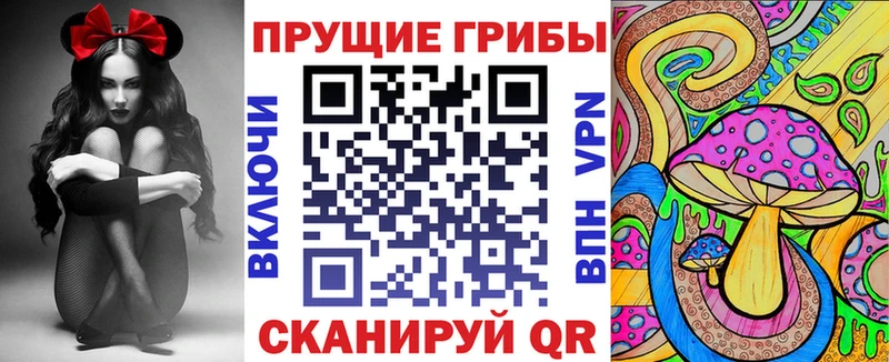 Псилоцибиновые грибы GOLDEN TEACHER  блэк спрут как зайти  Заозёрск 
